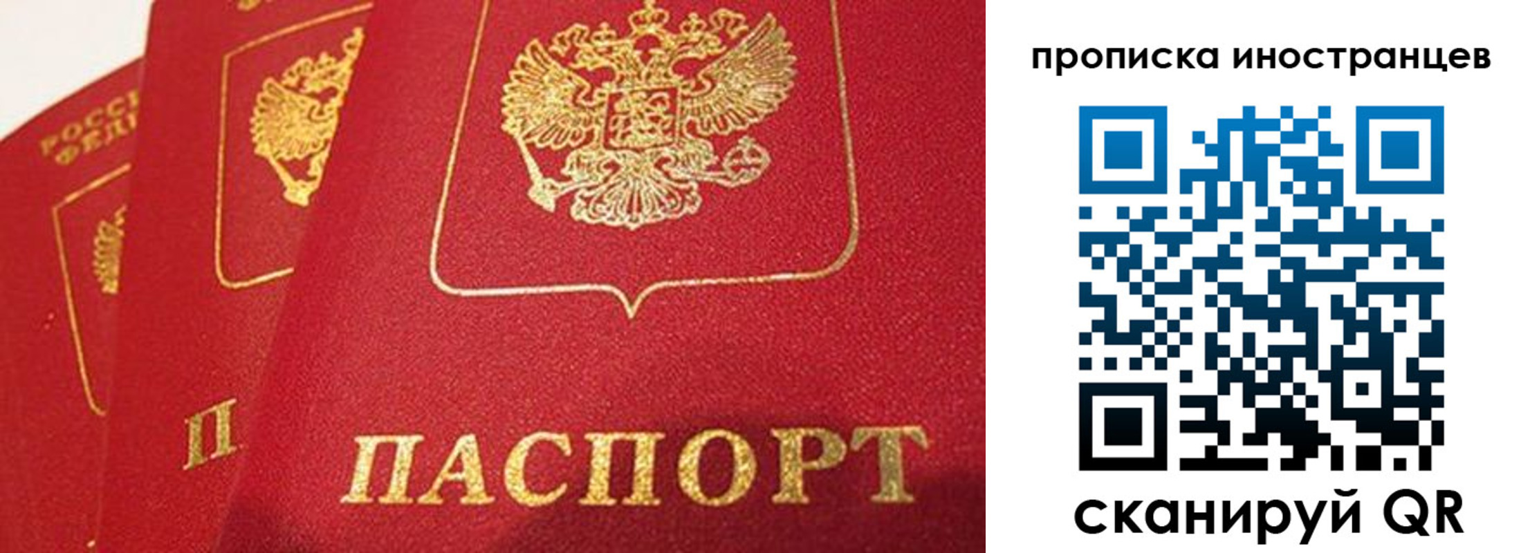 прописка поиск в Сясьстрое